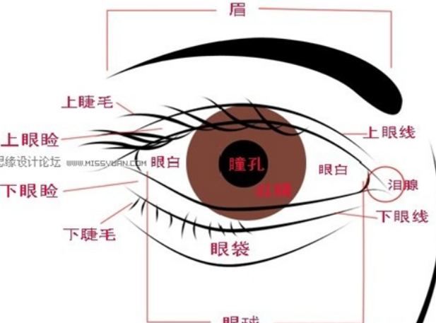 开眼角会留疤痕吗