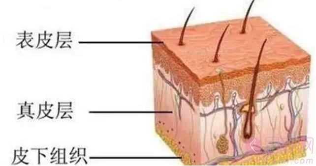 隆鼻后遗症如何预防？ 