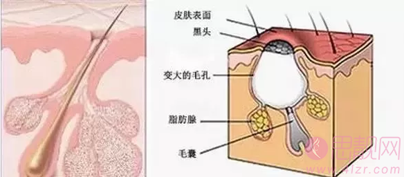 植发后还会掉头发吗？